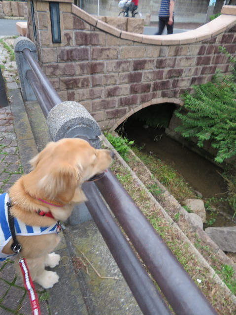 ファイル 7204-5.jpg