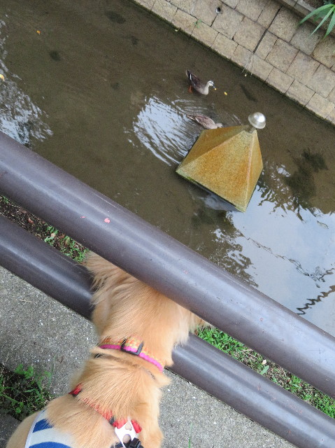 ファイル 7205-3.jpg