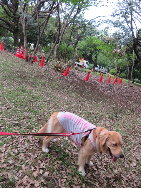 ファイル 7206-3.jpg