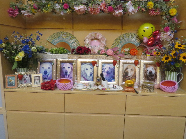 ファイル 7207-2.jpg