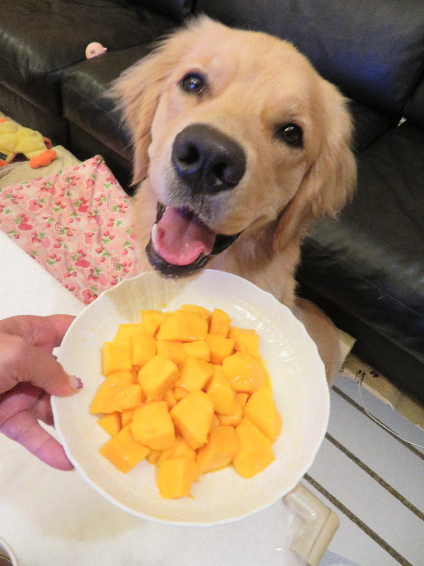 ファイル 7207-3.jpg