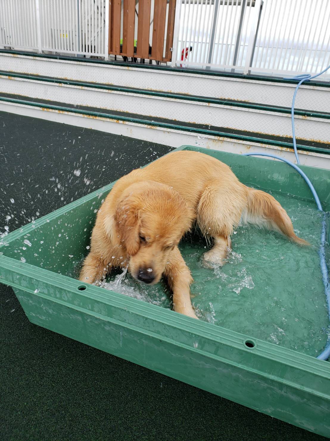 ファイル 7208-2.jpg