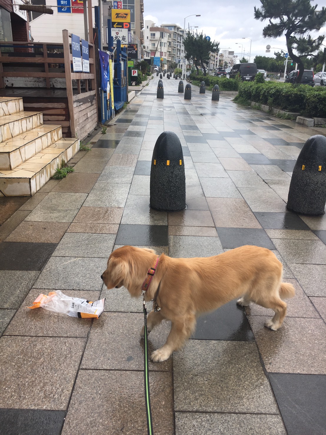 ファイル 7208-4.jpg