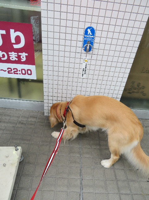 ファイル 7209-1.jpg