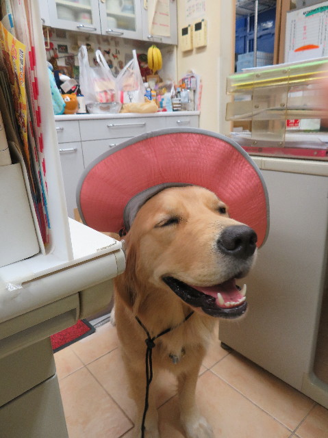 ファイル 7209-4.jpg