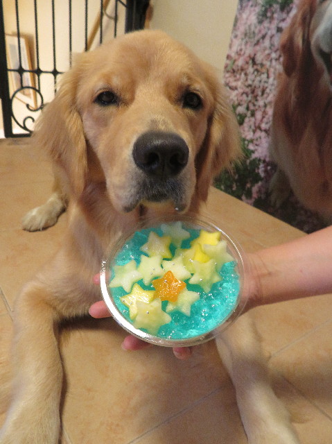 ファイル 7211-1.jpg