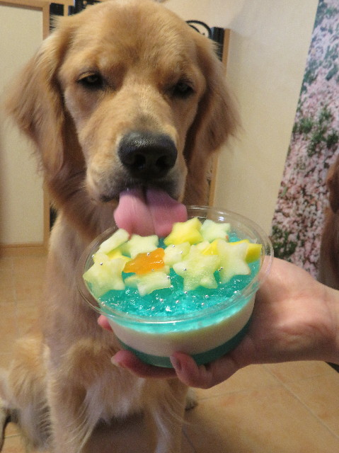 ファイル 7211-2.jpg