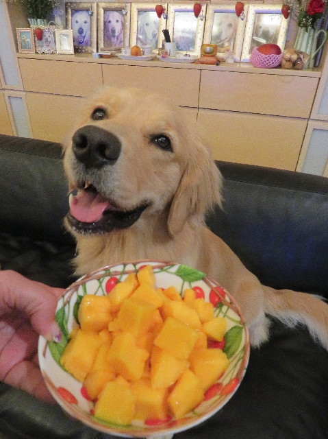 ファイル 7211-5.jpg