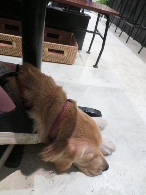 ファイル 7212-4.jpg