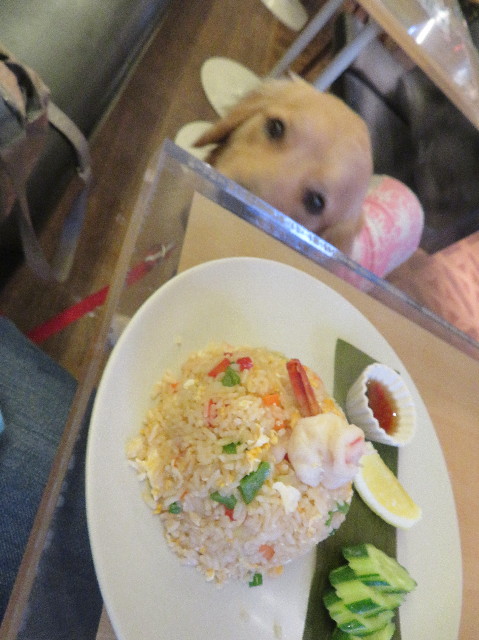 ファイル 7212-5.jpg