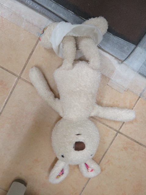 ファイル 7213-2.jpg