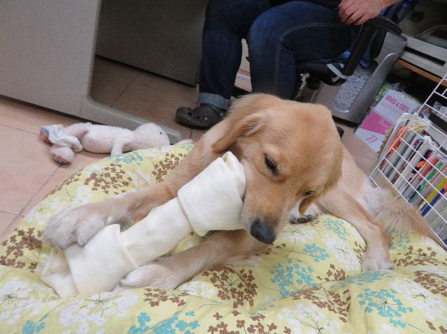 ファイル 7213-4.jpg