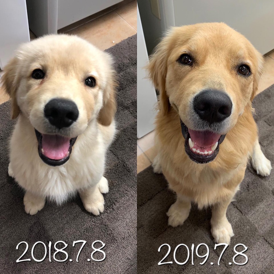 ファイル 7214-2.jpg