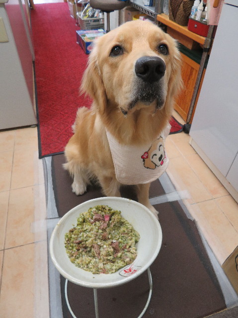 ファイル 7214-4.jpg