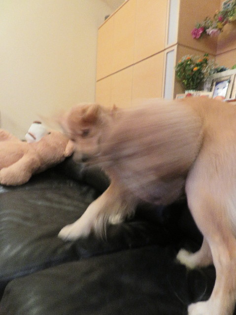 ファイル 7216-2.jpg