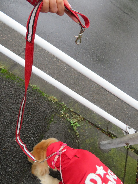 ファイル 7217-3.jpg