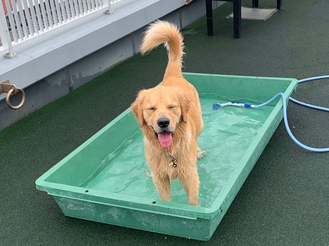 ファイル 7219-3.jpg