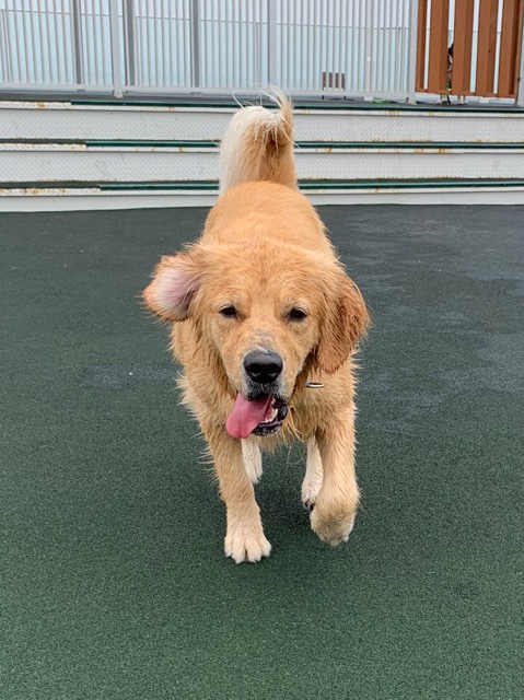 ファイル 7219-4.jpg