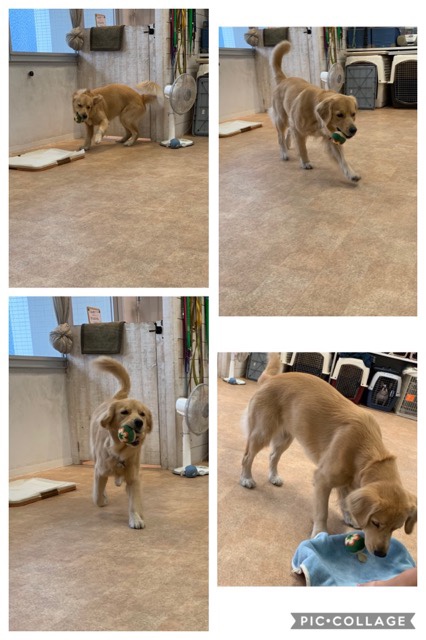 ファイル 7219-5.jpg