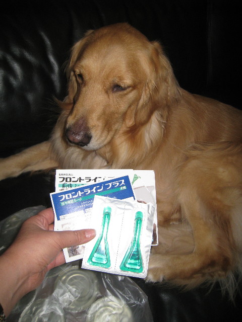 ファイル 722-1.jpg