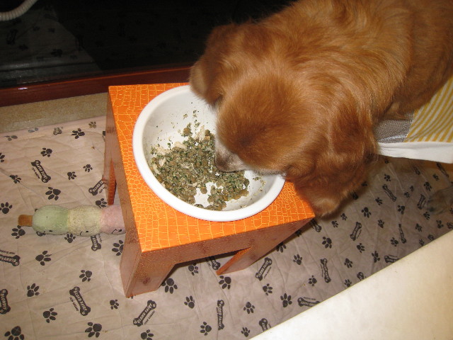 ファイル 722-2.jpg