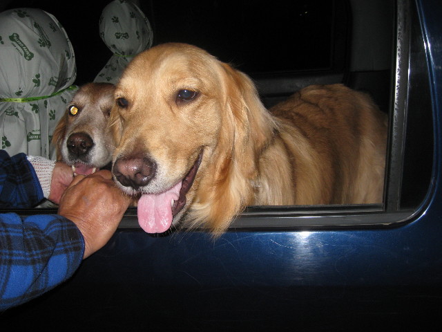 ファイル 722-4.jpg