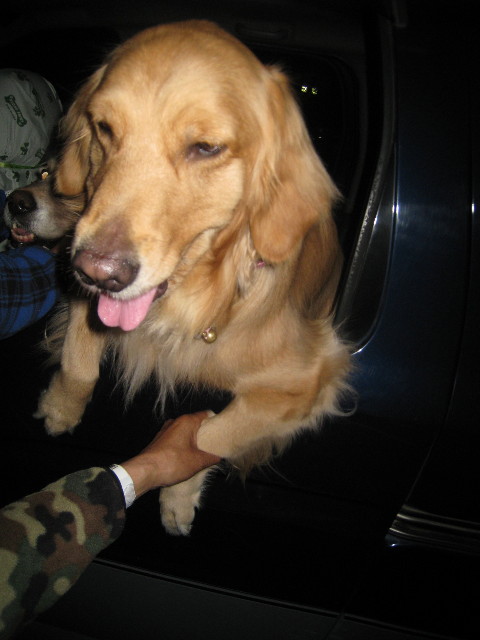 ファイル 722-5.jpg