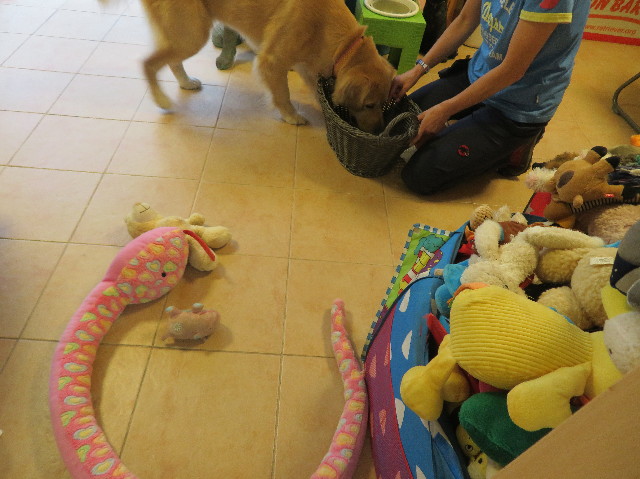 ファイル 7220-4.jpg