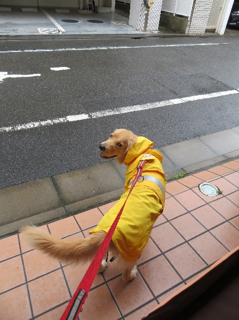 ファイル 7221-1.jpg