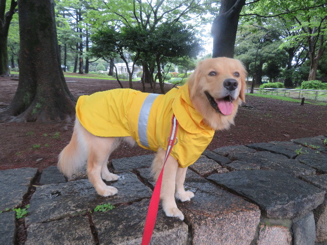 ファイル 7221-2.jpg