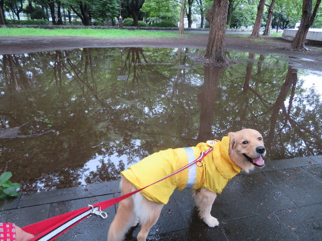 ファイル 7221-3.jpg