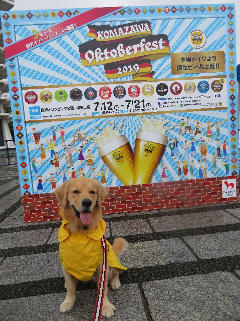 ファイル 7221-4.jpg