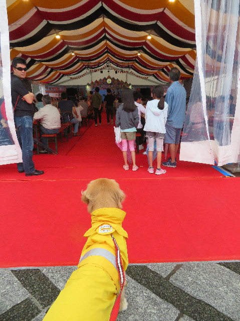 ファイル 7221-5.jpg