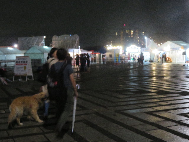 ファイル 7224-1.jpg