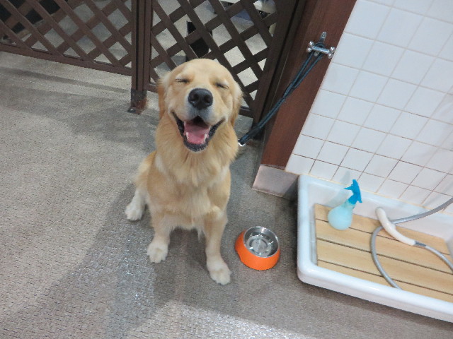 ファイル 7225-2.jpg