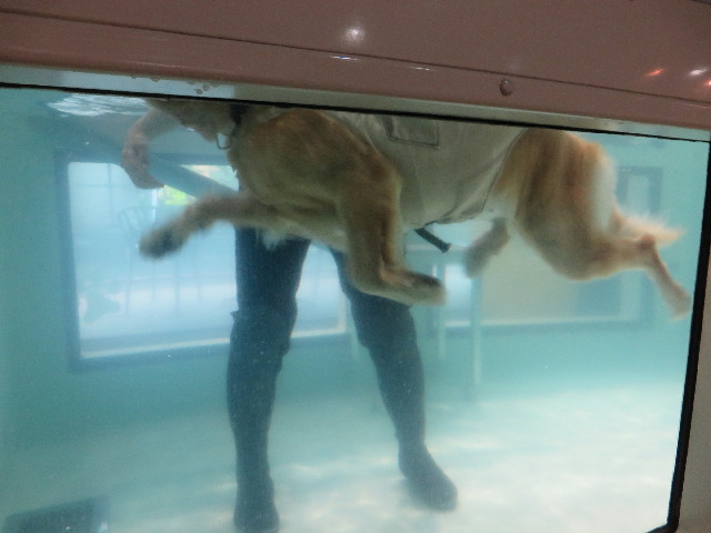 ファイル 7225-4.jpg