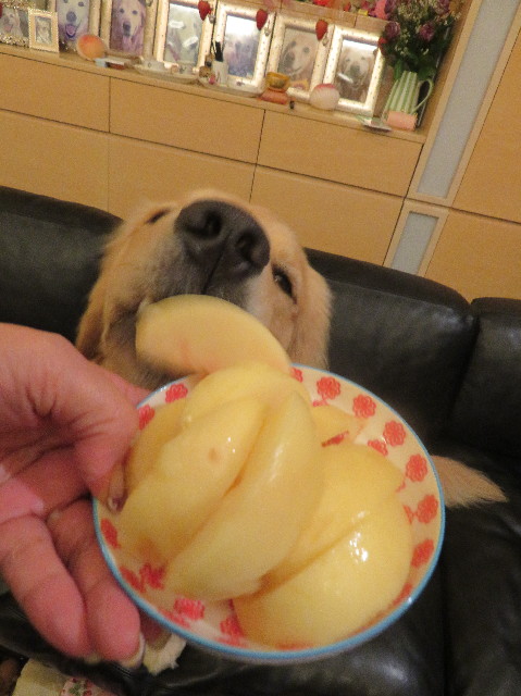 ファイル 7226-3.jpg