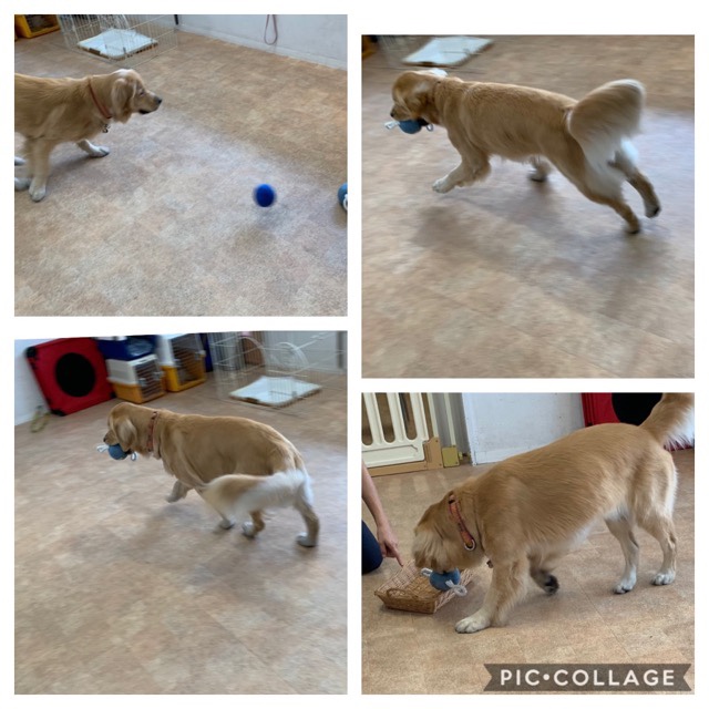 ファイル 7229-5.jpg