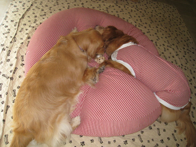 ファイル 723-1.jpg