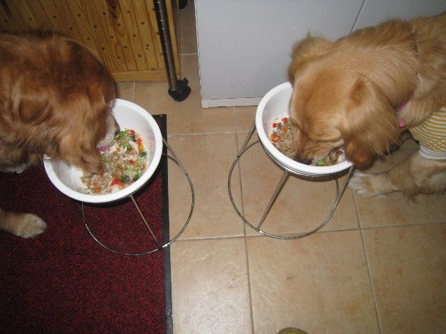 ファイル 723-2.jpg