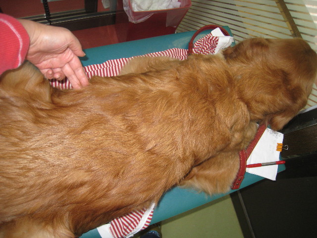 ファイル 723-4.jpg