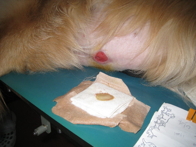 ファイル 723-5.jpg