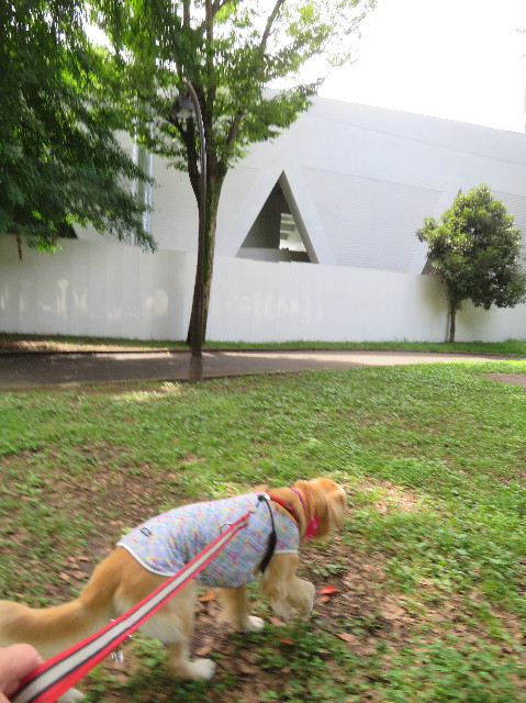 ファイル 7230-2.jpg