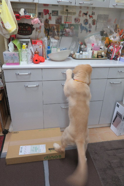 ファイル 7231-3.jpg