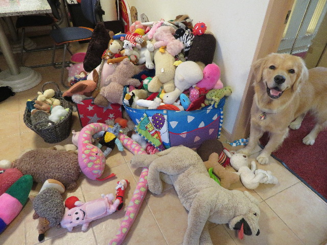 ファイル 7231-4.jpg