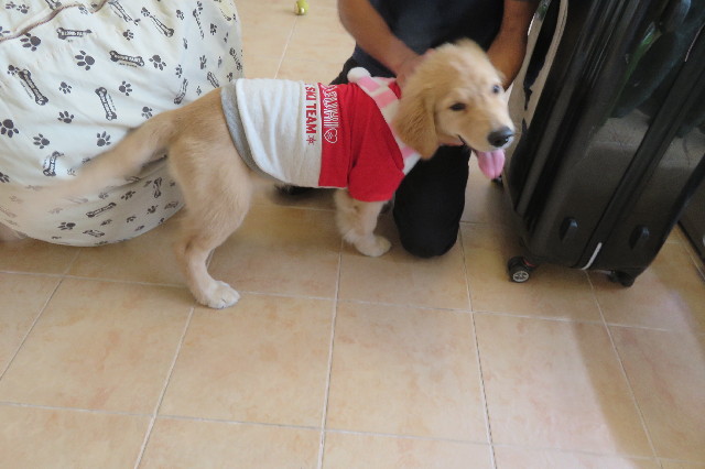 ファイル 7231-5.jpg