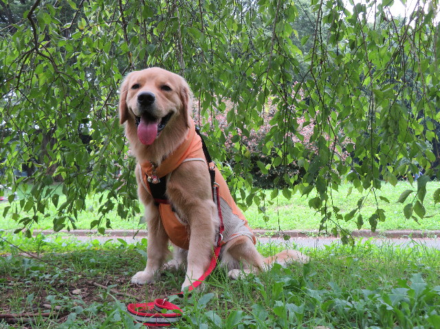 ファイル 7232-4.jpg