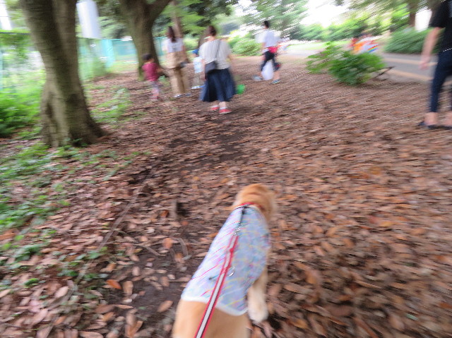 ファイル 7233-4.jpg