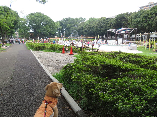 ファイル 7233-5.jpg