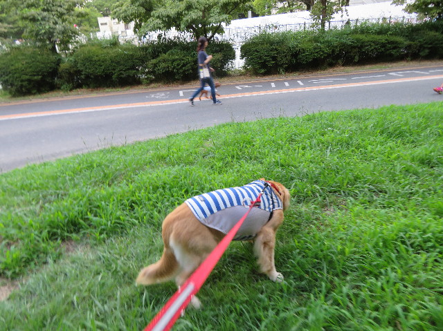 ファイル 7235-3.jpg